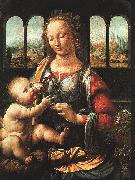  Leonardo  Da Vinci, The Madonna of the Carnation